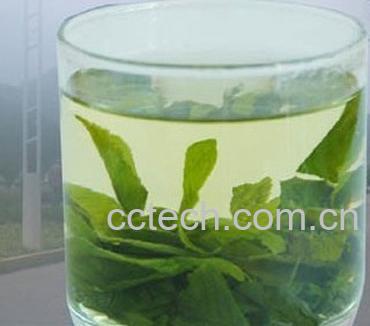 果蔬百科杜仲茶的功效-0