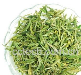 果蔬百科黄山茶叶-0