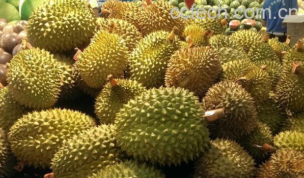 果蔬百科挑榴莲的窍门-0