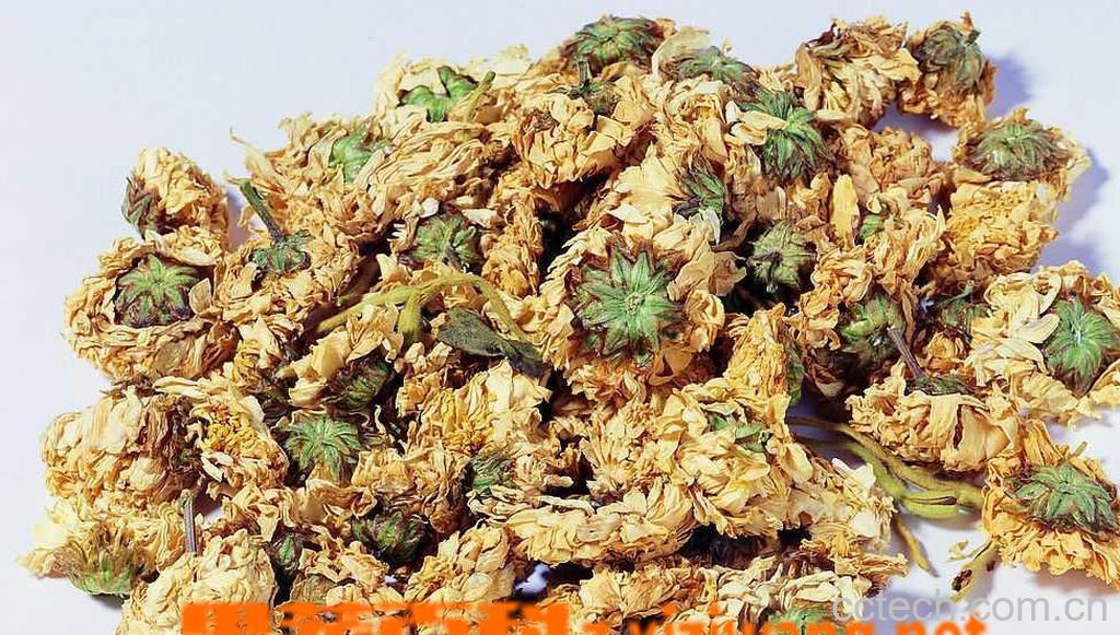 果蔬百科中药保健茶-0