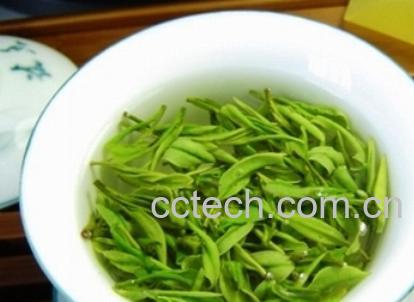 果蔬百科信阳毛尖的喝法-0