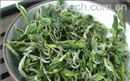 果蔬百科苍山雪绿-0