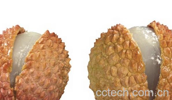 果蔬百科荔枝皮-0