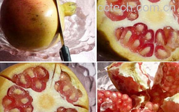 果蔬百科剥石榴-0