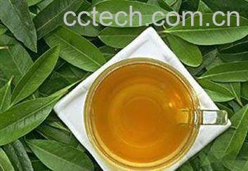 果蔬百科荷叶茶副作用-0