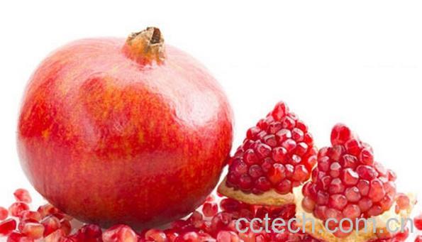 果蔬百科吃石榴要吐籽吗-0
