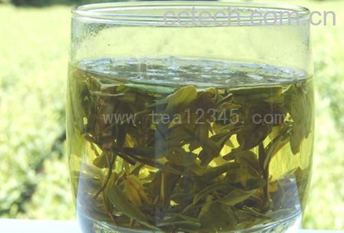 果蔬百科龙井茶属于什么茶呢-0