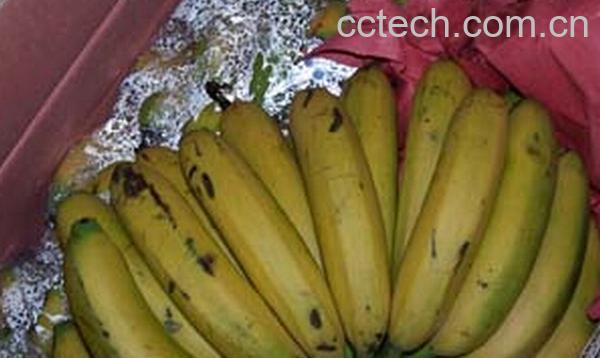 果蔬百科辨别催熟香蕉-0