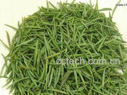 果蔬百科毛尖的好处-0