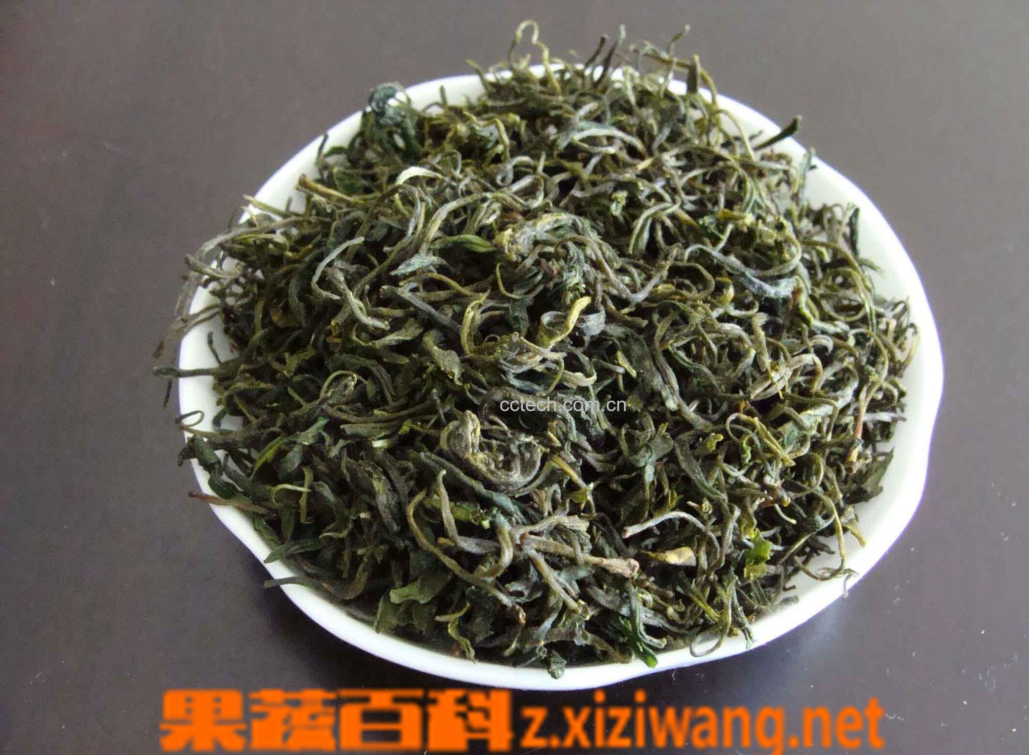 果蔬百科毛尖茶叶-0