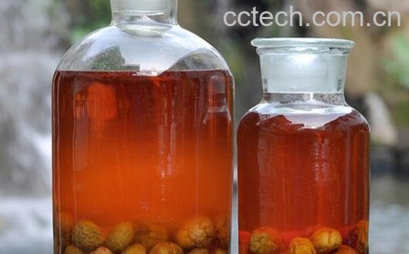 果蔬百科青梅酒-0