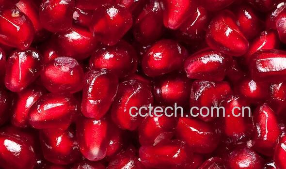 果蔬百科红石榴-0