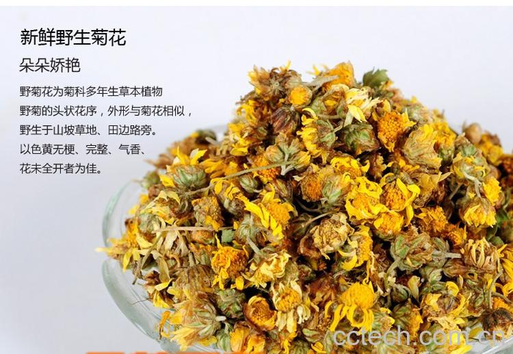 果蔬百科野菊花茶-0
