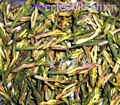 果蔬百科海南苦丁茶-0