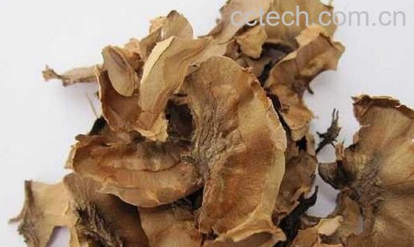 果蔬百科核桃内皮-0