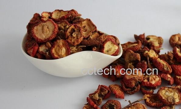 果蔬百科山楂片-0