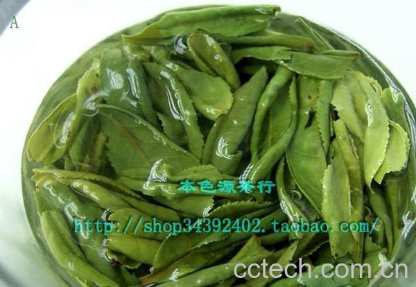 果蔬百科六安瓜片是什么茶-0