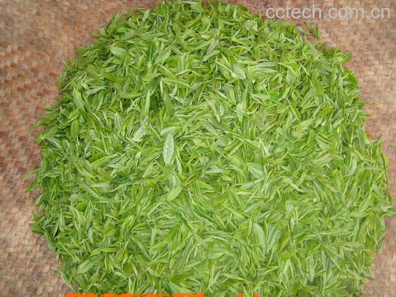 果蔬百科毛尖茶的好处-0