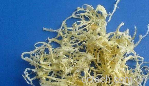 果蔬百科橘络-0