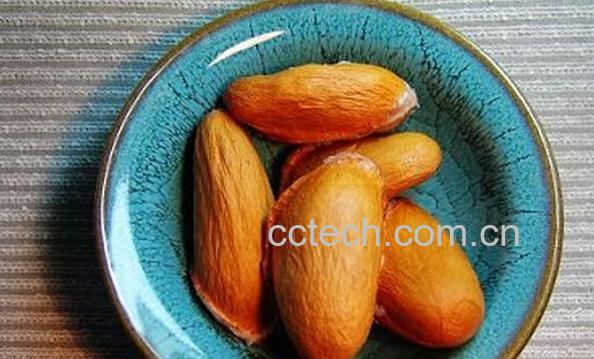 果蔬百科榴莲籽-0