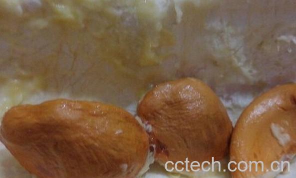 果蔬百科榴莲核-0