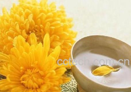 果蔬百科秋季喝什么茶-0