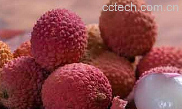 果蔬百科荔枝壳-0