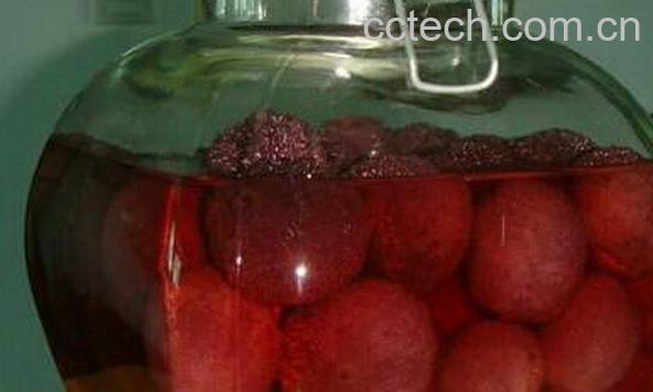 果蔬百科杨梅泡酒-0