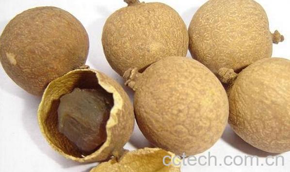 果蔬百科桂圆壳-0