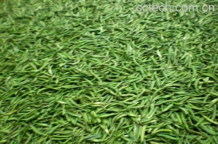 果蔬百科竹叶青茶叶-0