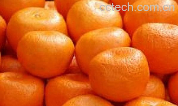 果蔬百科桔子-0