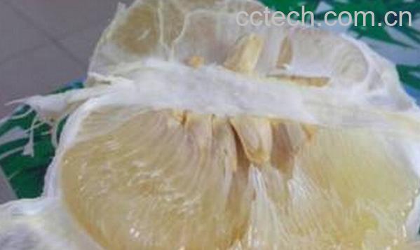 果蔬百科白柚子-0