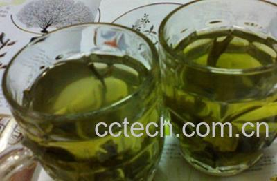 果蔬百科苦丁茶功效-0