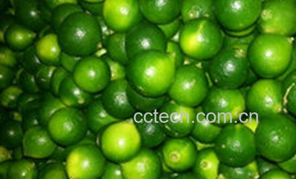 果蔬百科孕妇能吃青桔子吗-0