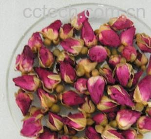 果蔬百科月季花茶-0