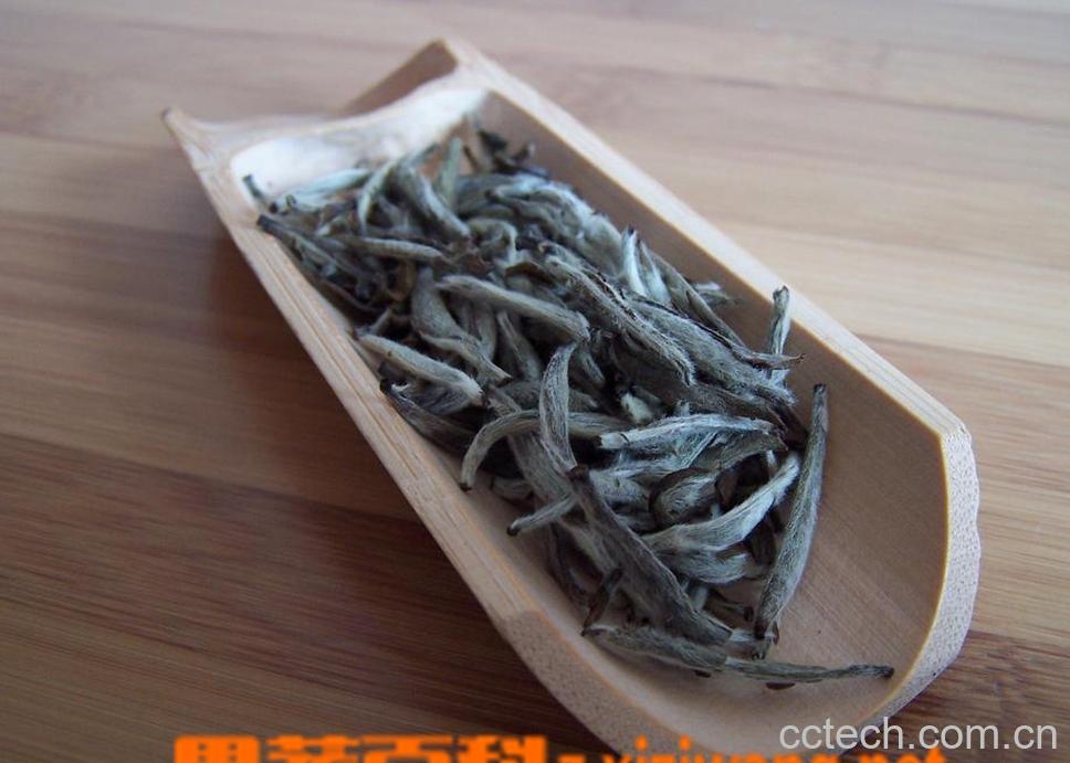 果蔬百科白茶的泡法-0