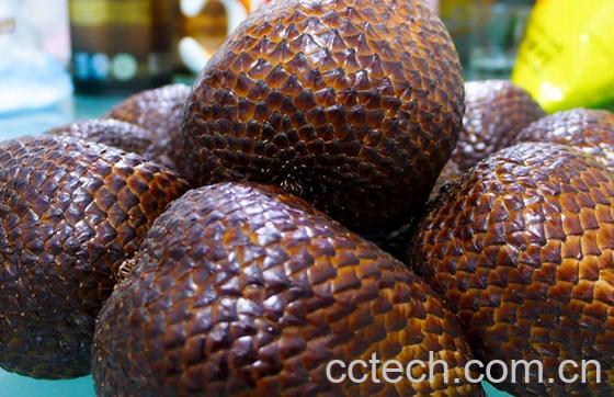 果蔬百科蛇皮果-0