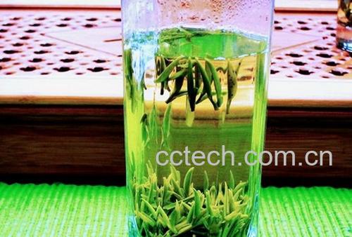 果蔬百科毛尖茶的功效-0