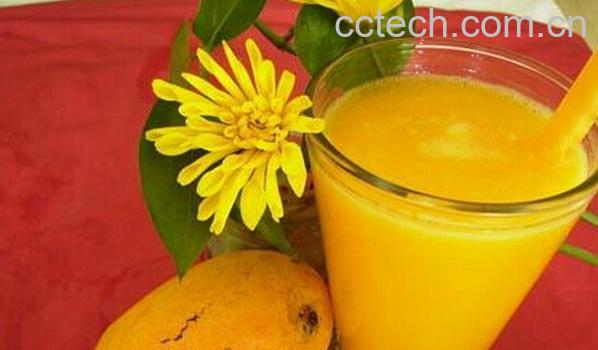 果蔬百科芒果汁-0