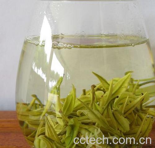 果蔬百科白茶产地-0