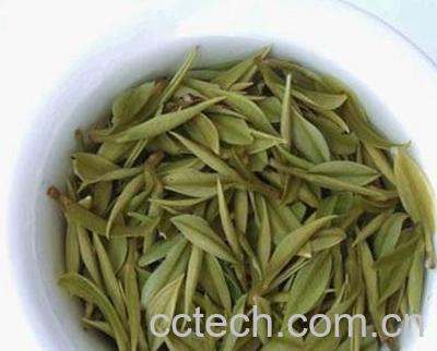 果蔬百科君山银针茶-0