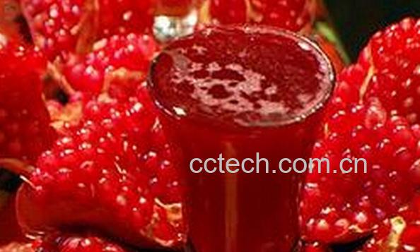 果蔬百科石榴汁-0