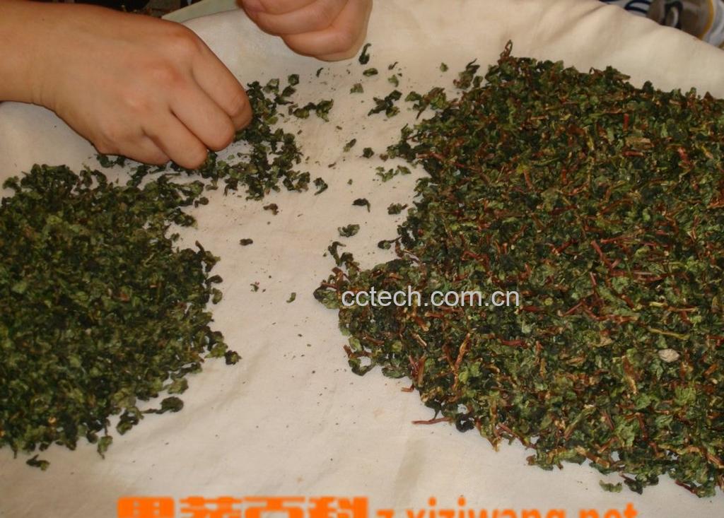 果蔬百科乌龙茶的泡法-0