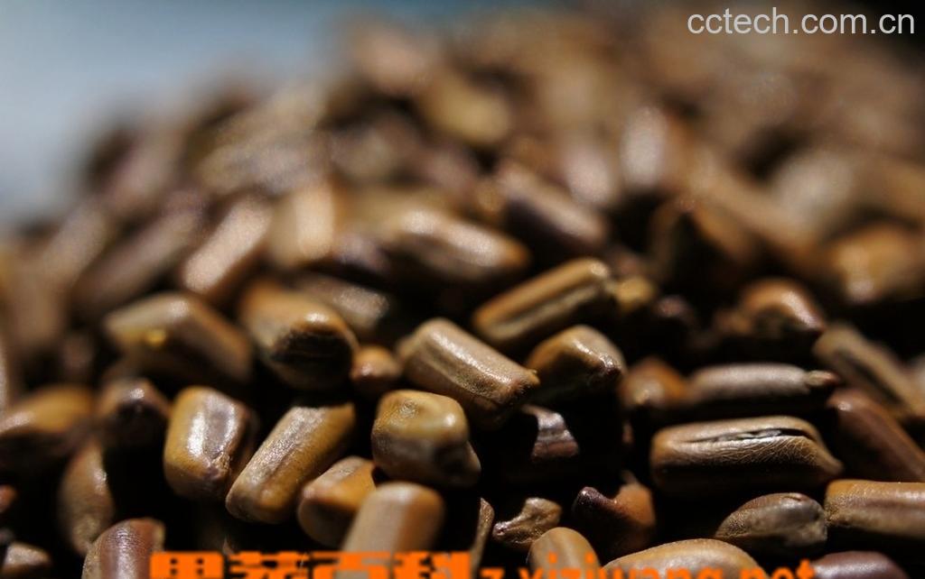 果蔬百科决明子的减肥功效-0