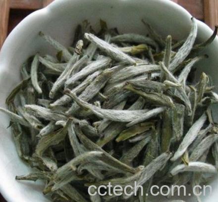 果蔬百科黄竹白毫-0