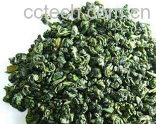 果蔬百科碧螺春的产地-0