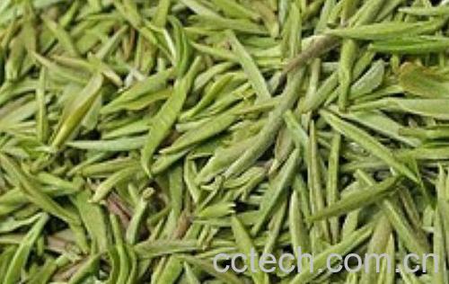 果蔬百科孕妇能喝毛尖茶吗-0