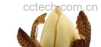 果蔬百科蛇皮果-0