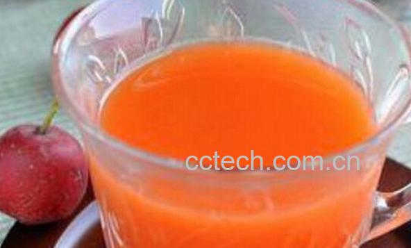 果蔬百科山楂汁-0