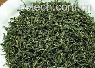 果蔬百科信阳毛尖属于什么茶-0